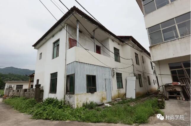 1597393254849655.jpg 10.jpg