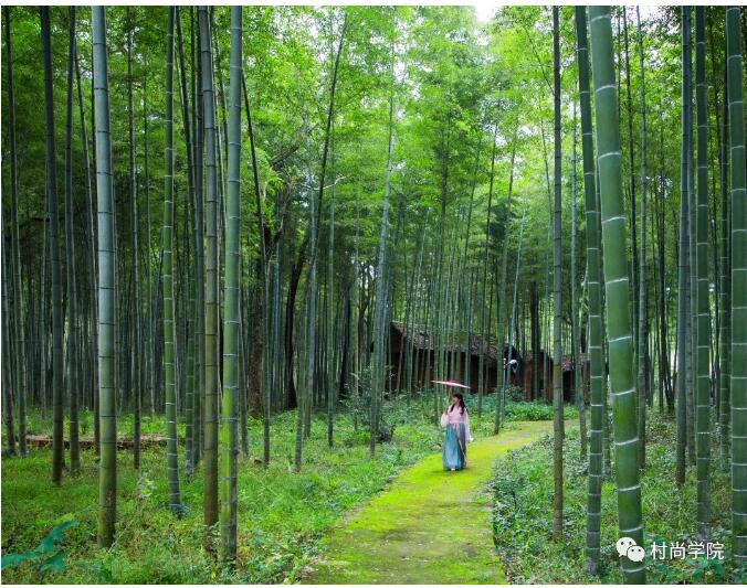 1597393327530767.jpg 3.jpg