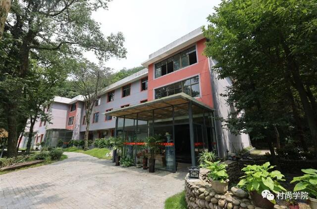 1597393415483290.jpg 6.jpg