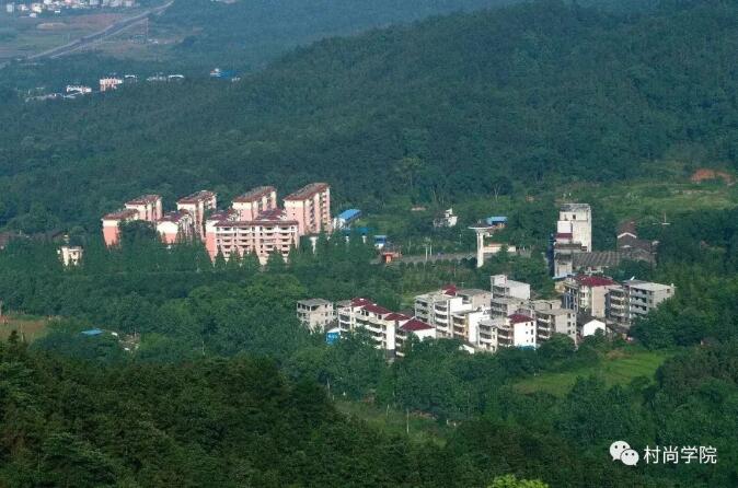 1597393476579557.jpg 1.jpg