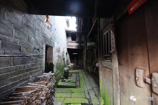 1597393623837622.jpg 10.jpg