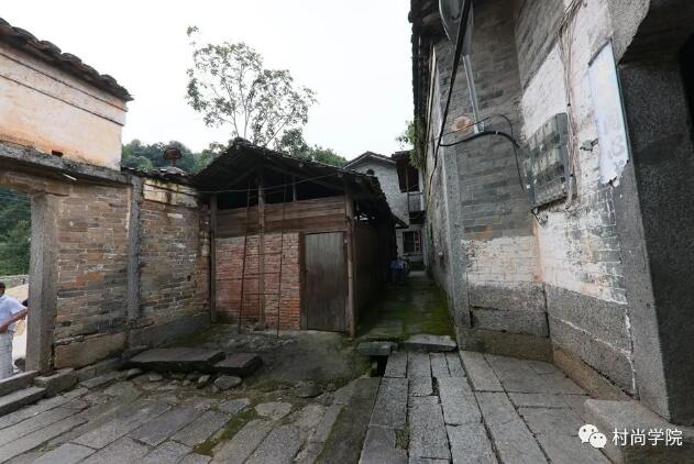 1597393627145709.jpg 11.jpg