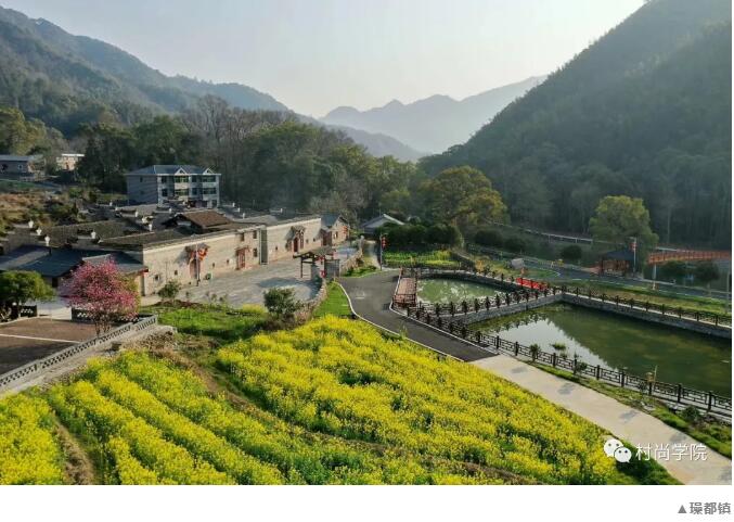 1597393891833283.jpg 2.jpg