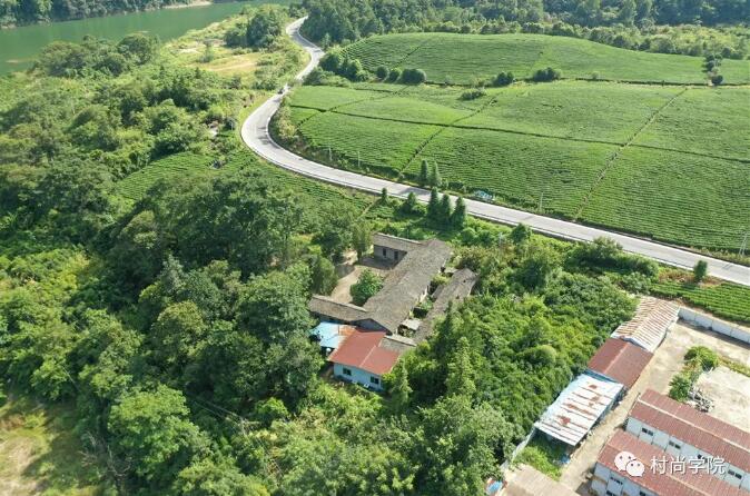 1597393980981736.jpg 1.jpg