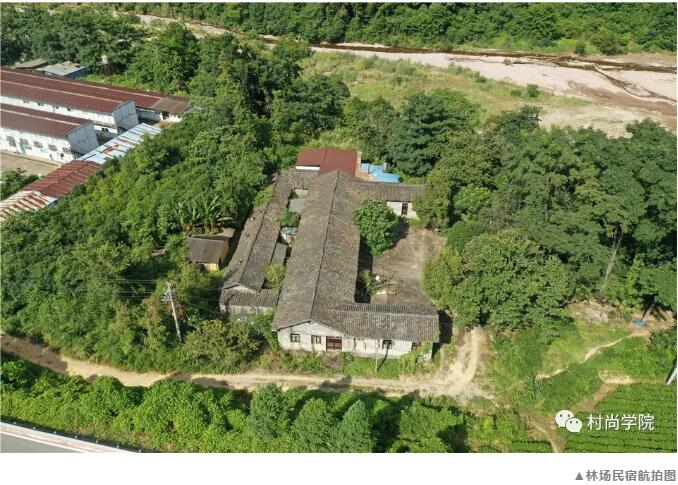 1597394044978549.jpg 3.jpg