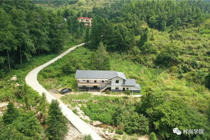 1597394148721498.jpg 1.jpg