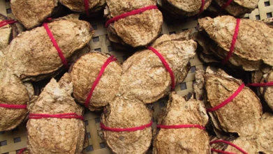 1633522746704374.png QQ圖片20211006201847.png