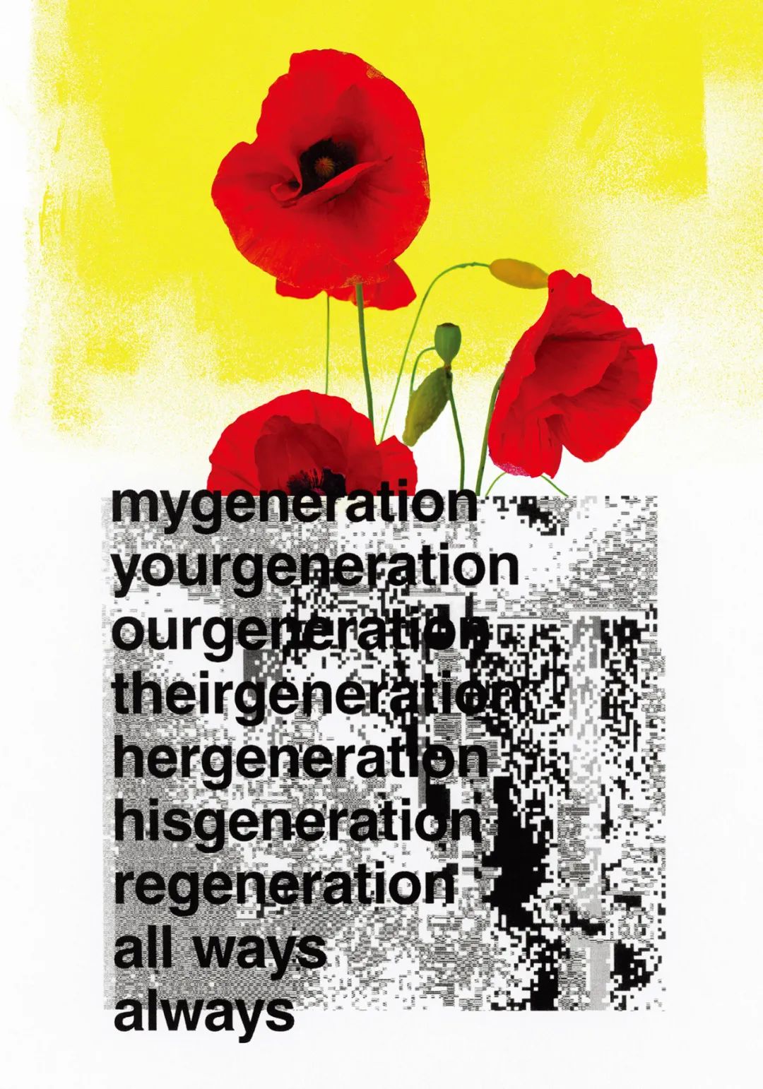 1646021999633646.jpg 81.jpg